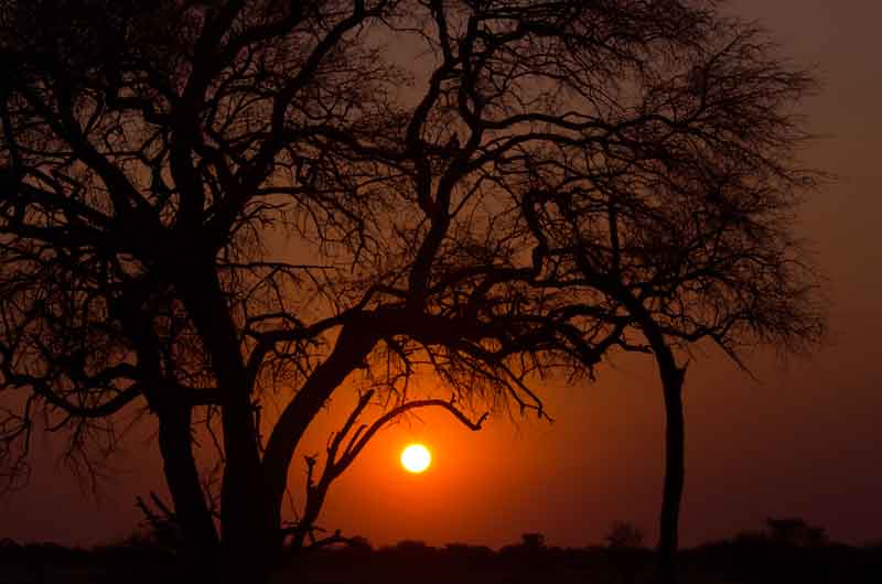 68 - Namibia - parque nacional de Etosha - atardecer